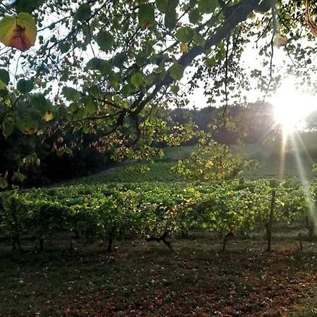 Chateau Regaldo-Saint Blancard Salleboeuf Eksteriør billede