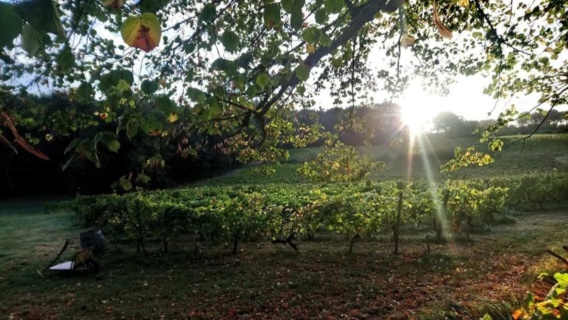 Chateau Regaldo-Saint Blancard Salleboeuf Eksteriør billede
